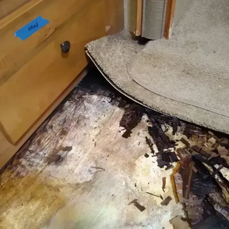 Wood Floor Water Damage in Old Jefferson, LA